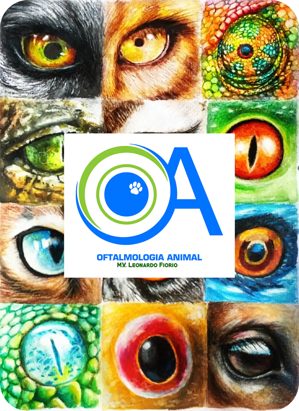 Oftalmologia animal serviço de atendimento oftalmológico de cães e gatos